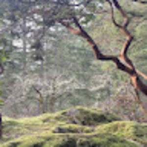 Meet your Posher, Kjl